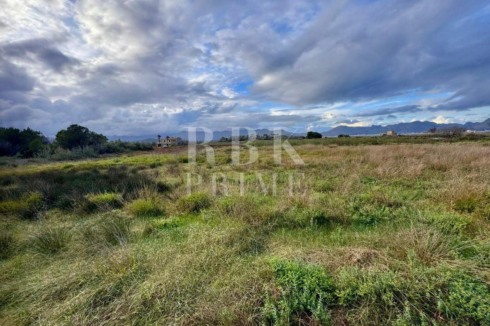 Gensalg - Land -
Alcudia - Es Barcarás