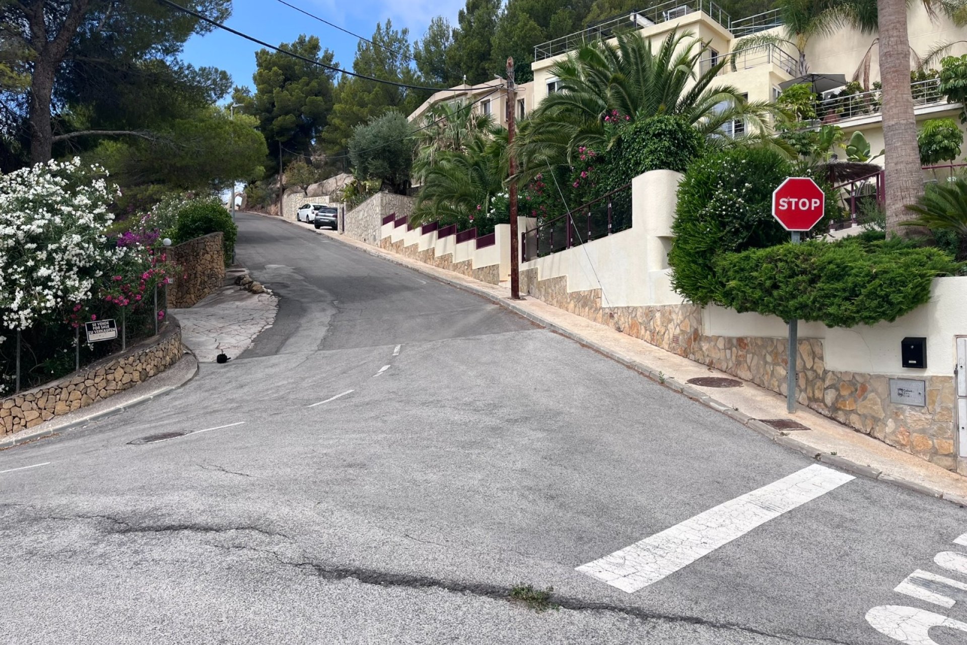 Gensalg - Land -
Altea - Sierra de Altea
