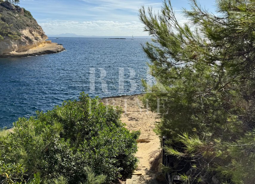 Gensalg - Land -
Calvià - Sol de Mallorca