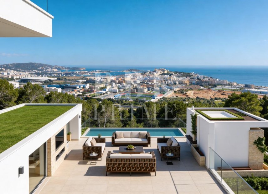 Gensalg - Land -
Eivissa - Ibiza - Illa Plana