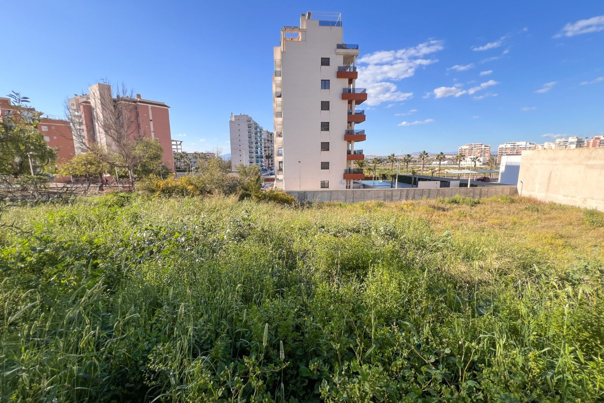 Gensalg - Land -
Guardamar del Segura