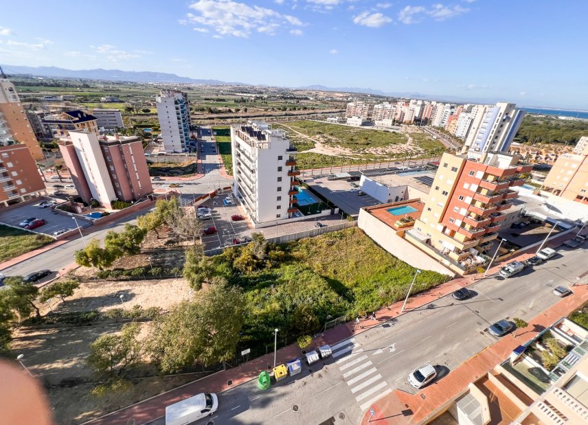 Gensalg - Land -
Guardamar del Segura