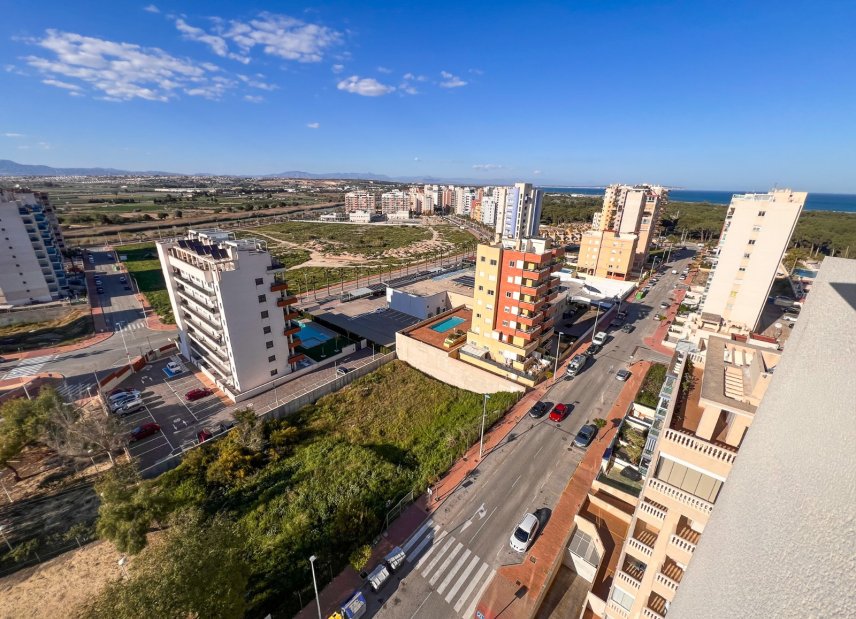Gensalg - Land -
Guardamar del Segura