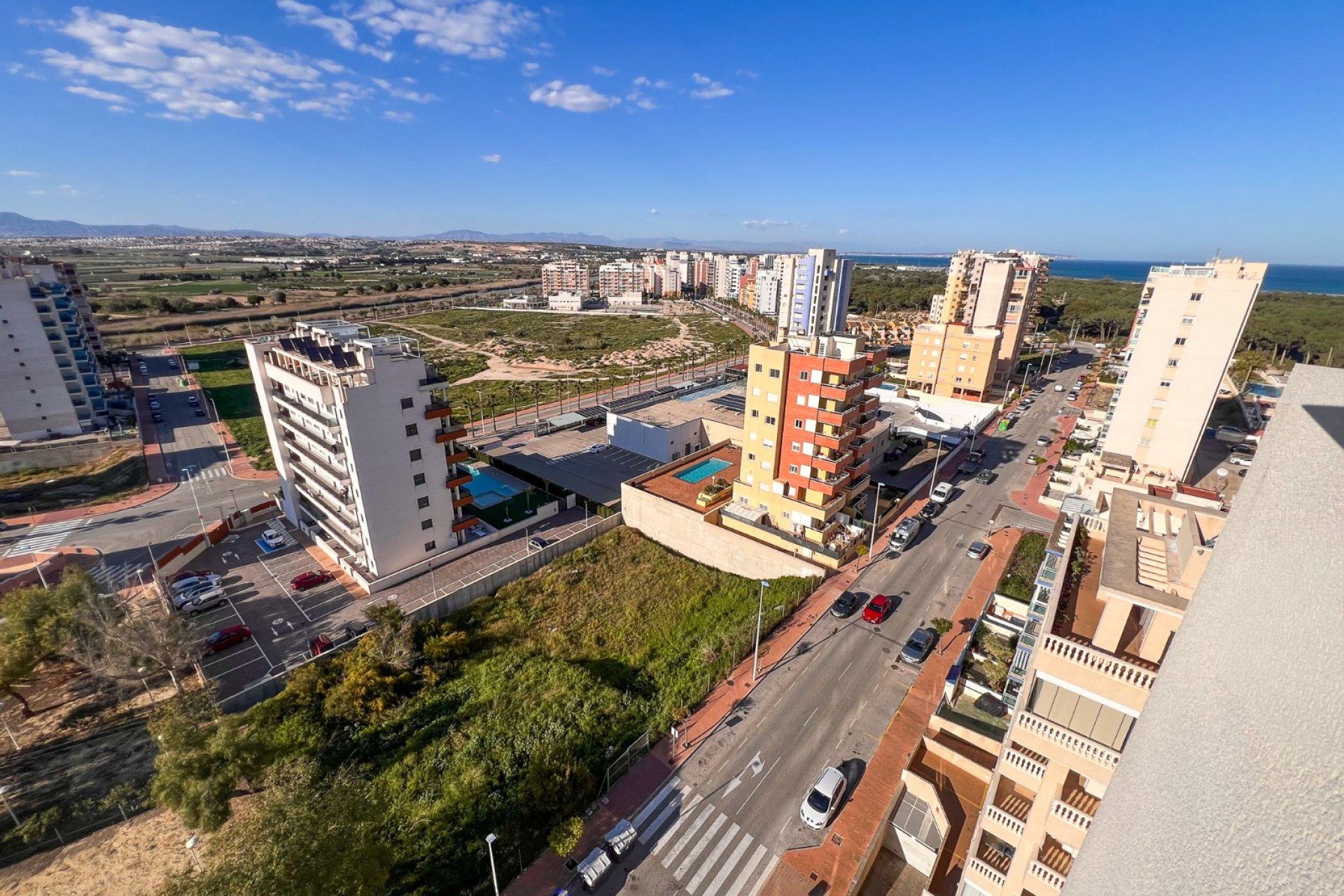 Gensalg - Land -
Guardamar del Segura