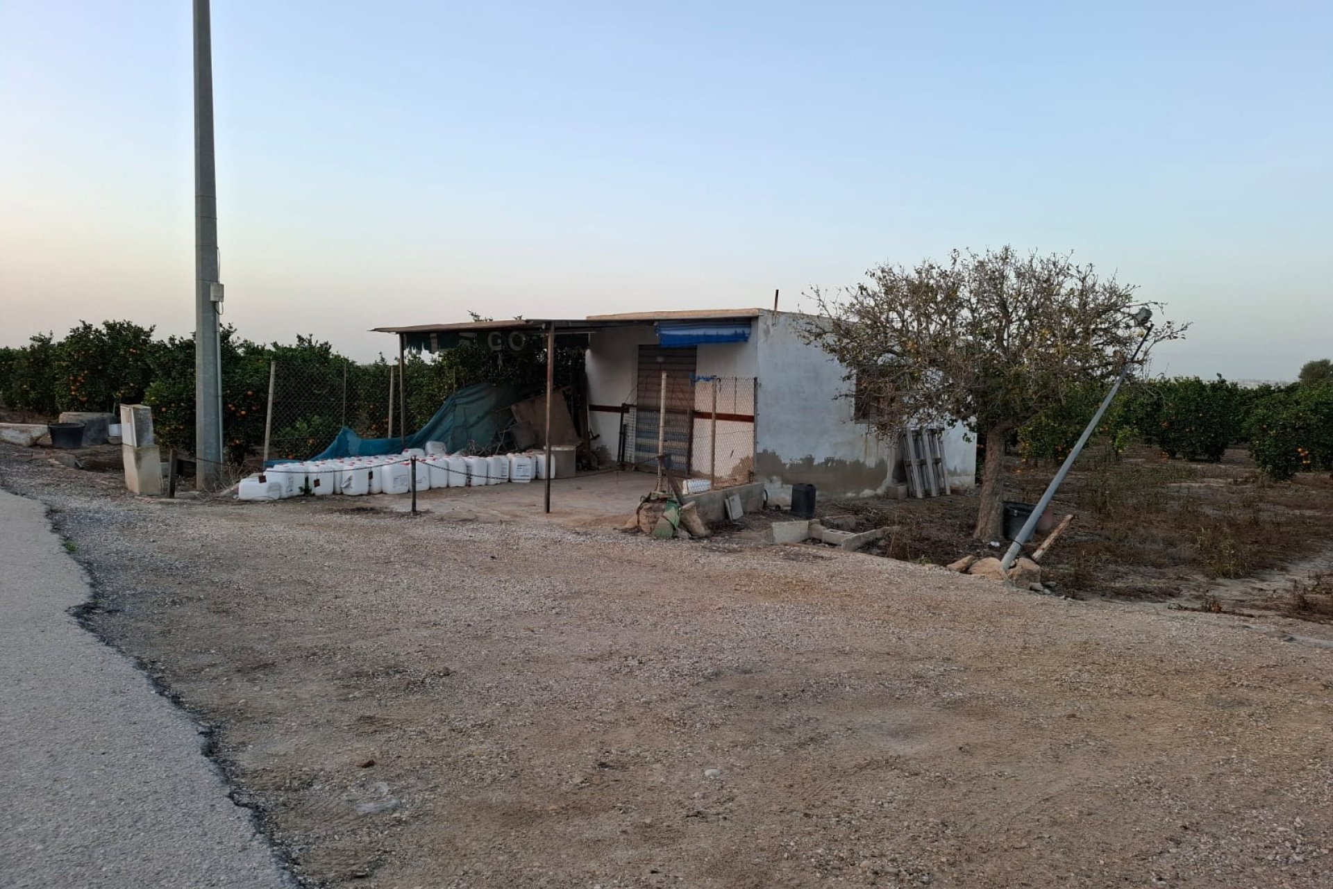 Gensalg - Land -
Guardamar del Segura