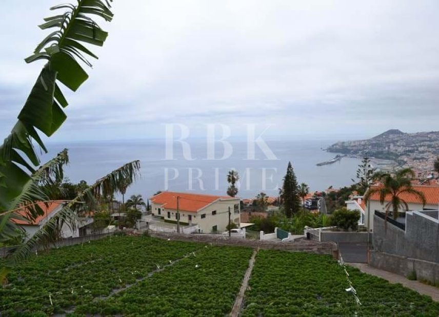 Gensalg - Land -
Madeira