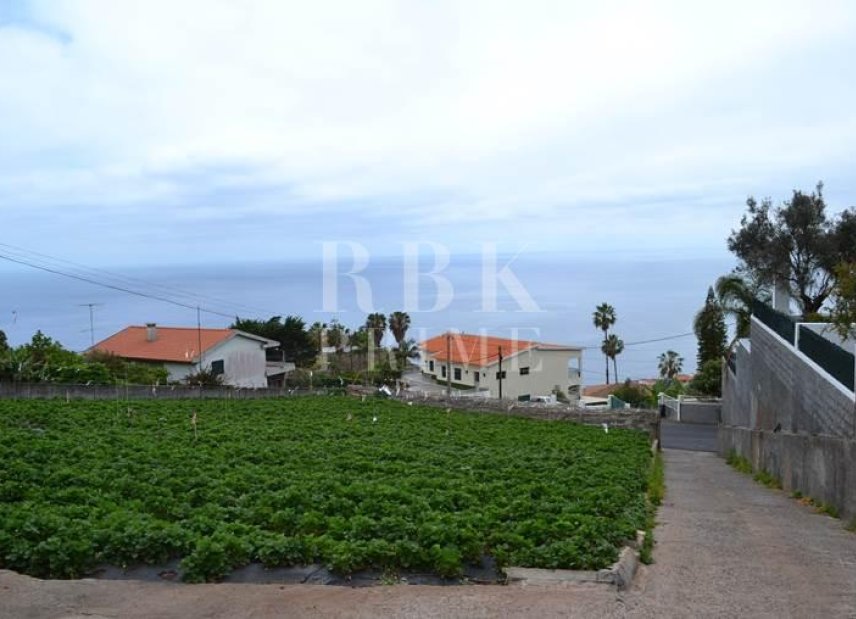 Gensalg - Land -
Madeira