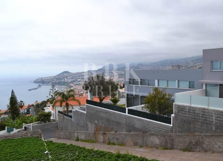 Gensalg - Land -
Madeira