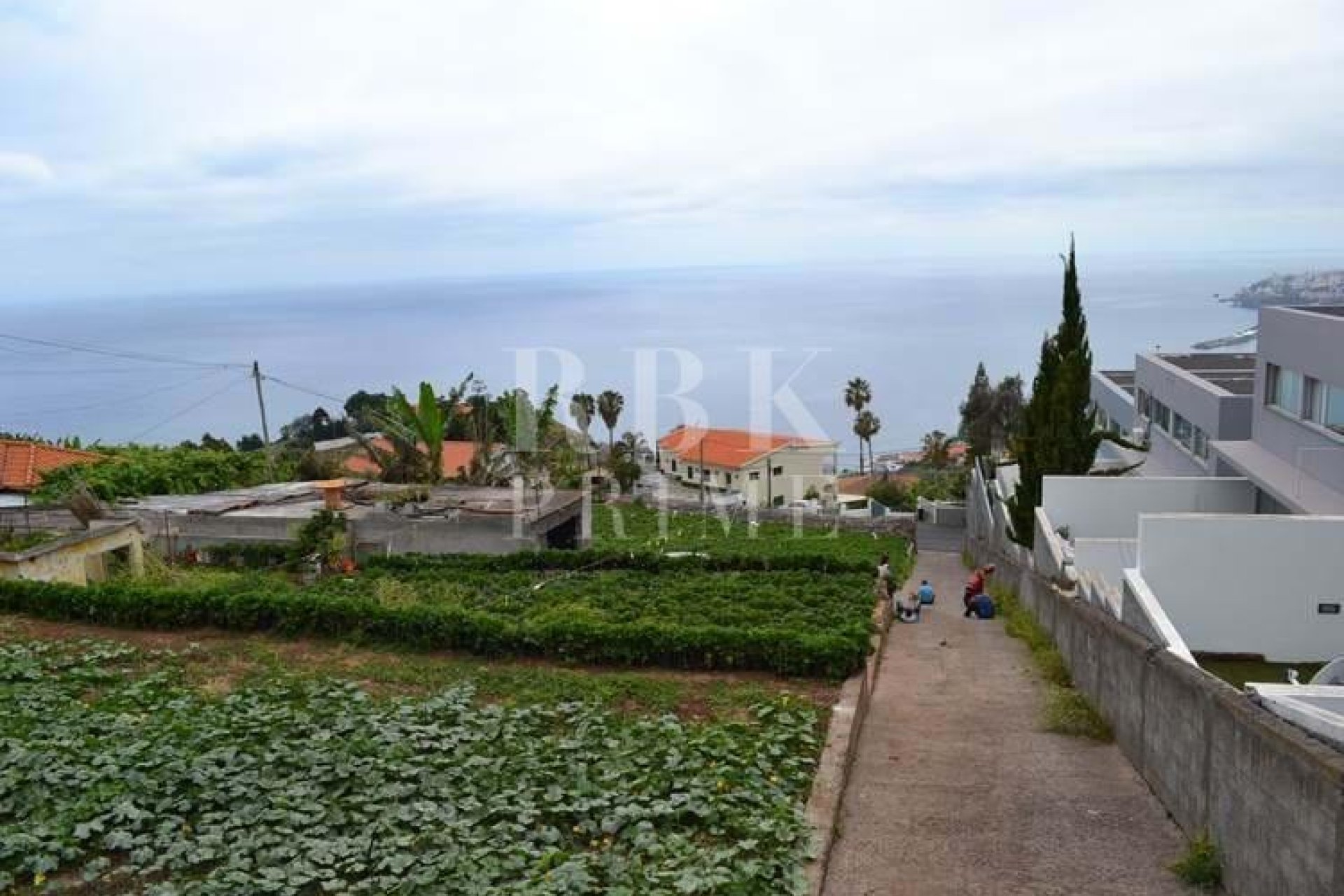 Gensalg - Land -
Madeira