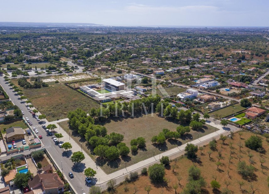Gensalg - Land -
Marratxí
