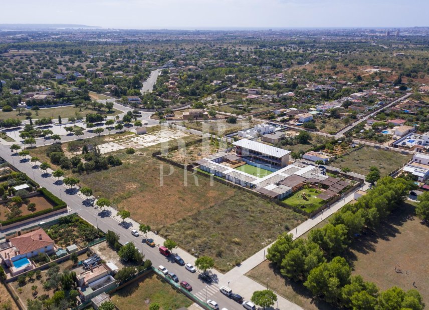 Gensalg - Land -
Marratxí