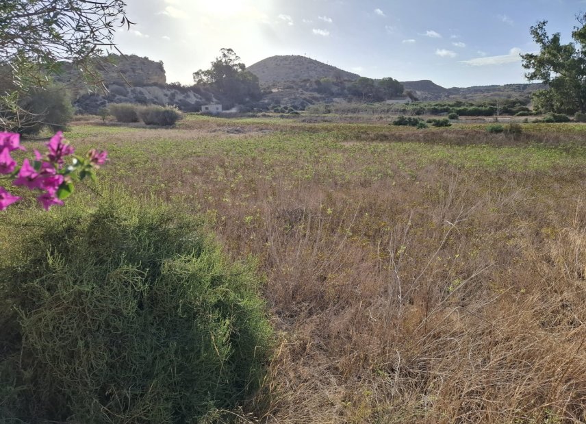 Gensalg - Land -
Rojales - Ciudad Quesada