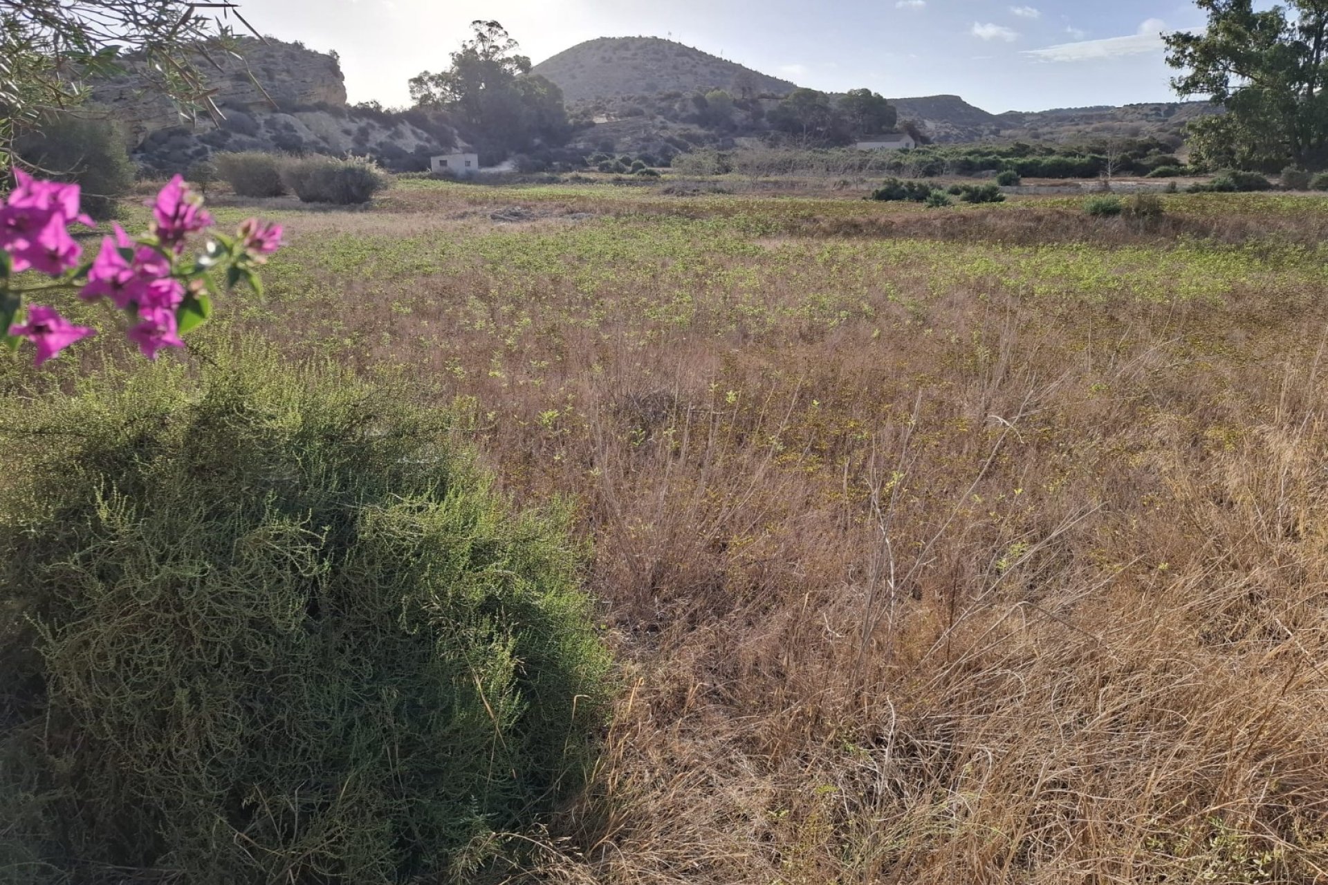 Gensalg - Land -
Rojales - Ciudad Quesada