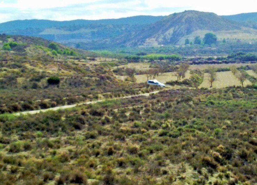 Gensalg - Land -
Torremendo
