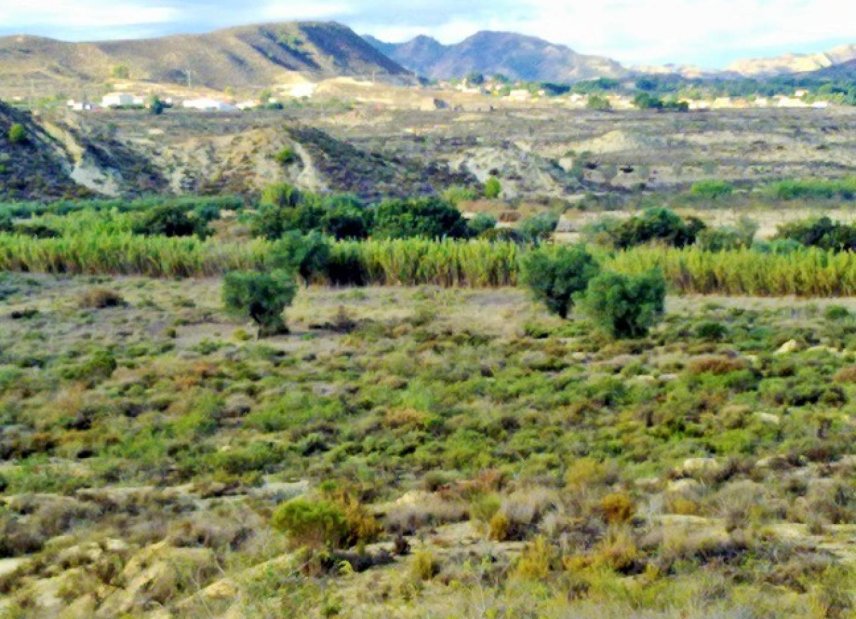 Gensalg - Land -
Torremendo