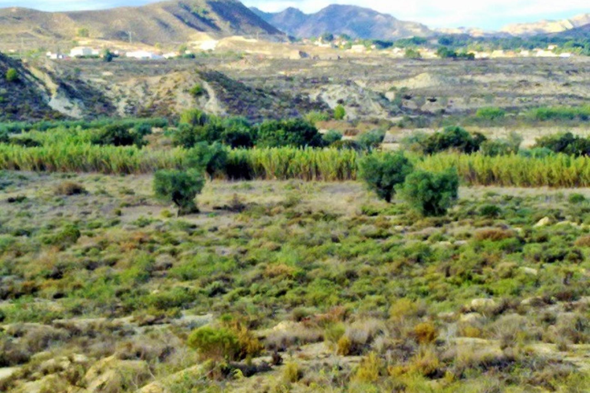 Gensalg - Land -
Torremendo