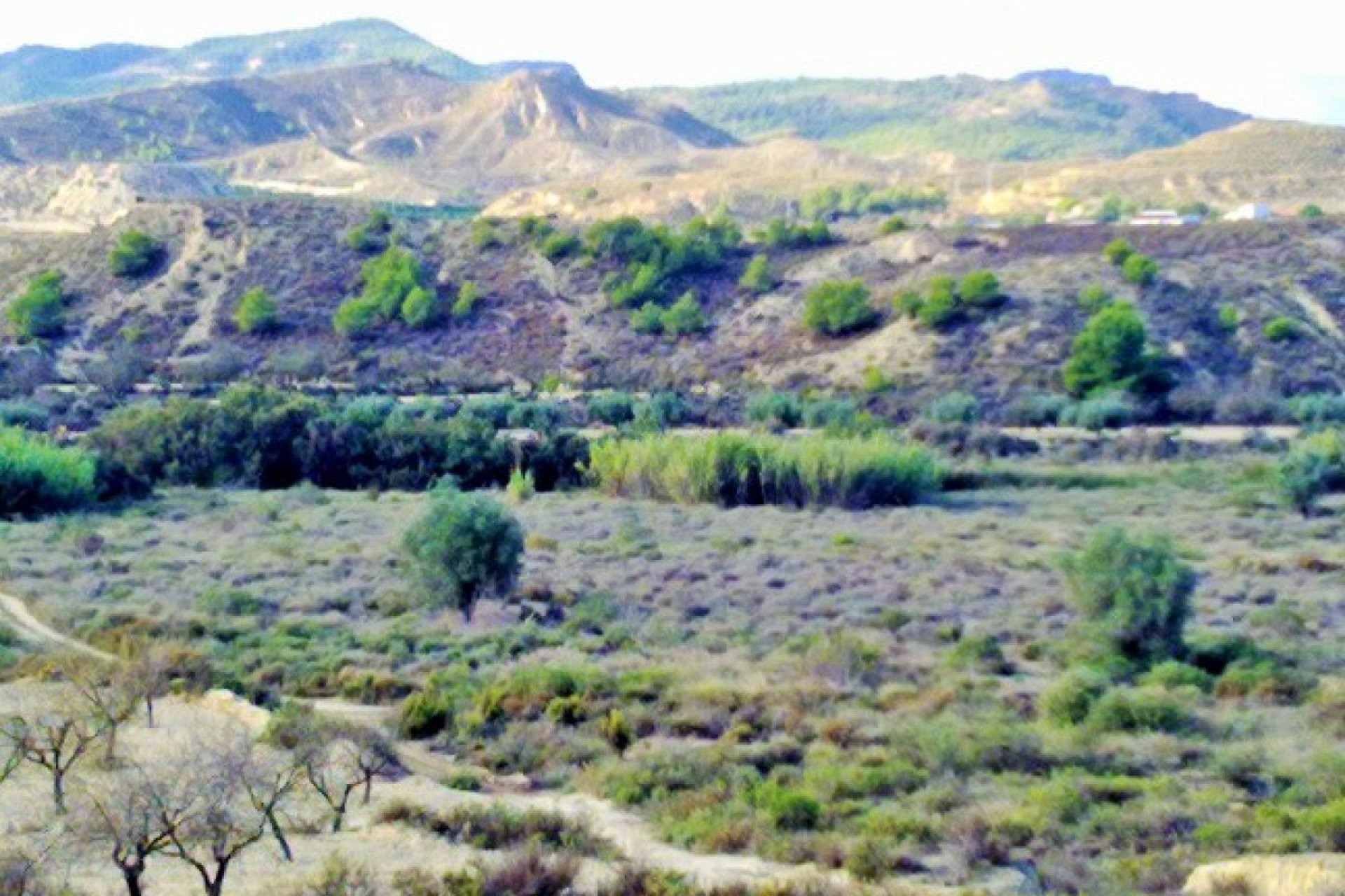 Gensalg - Land -
Torremendo