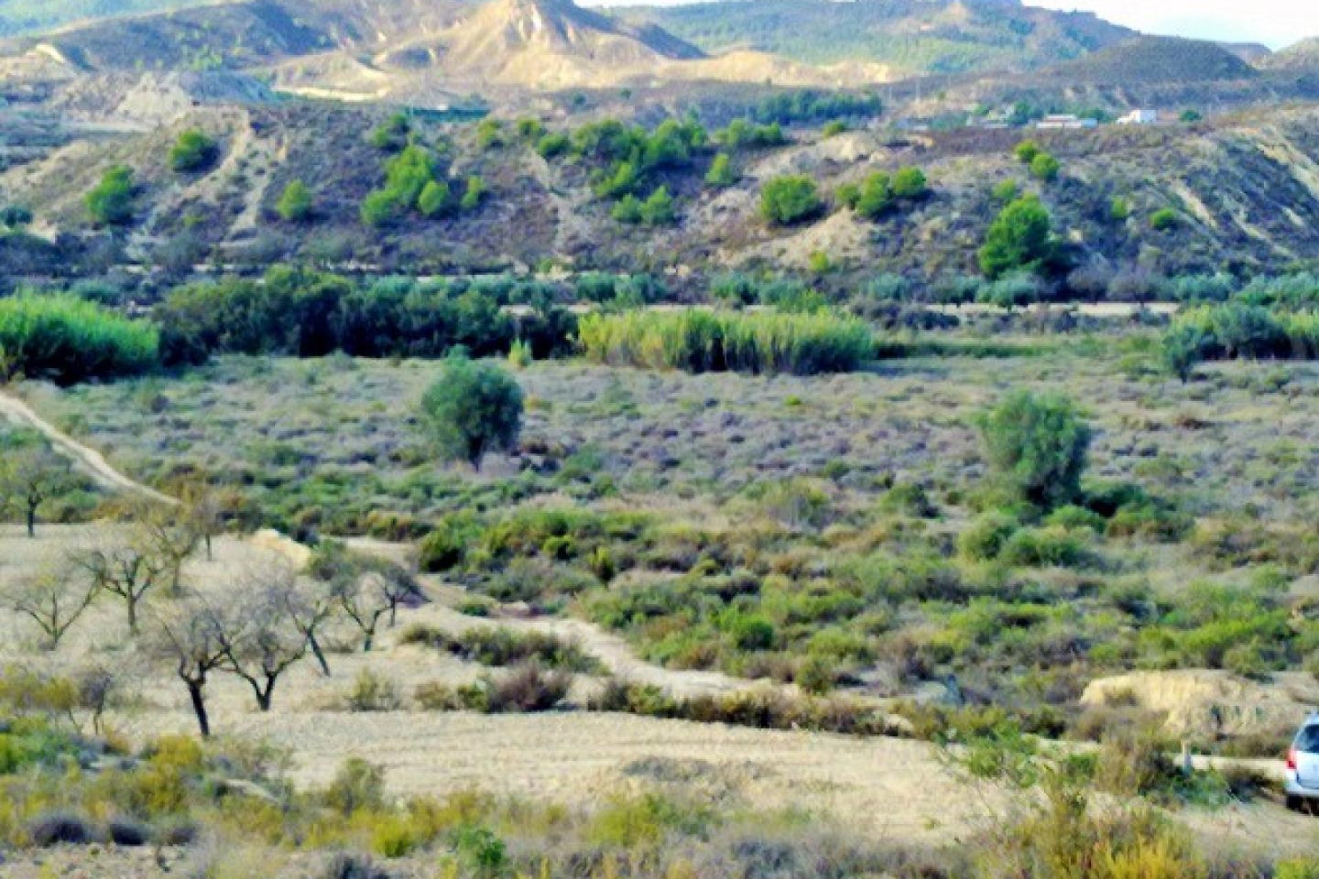 Gensalg - Land -
Torremendo