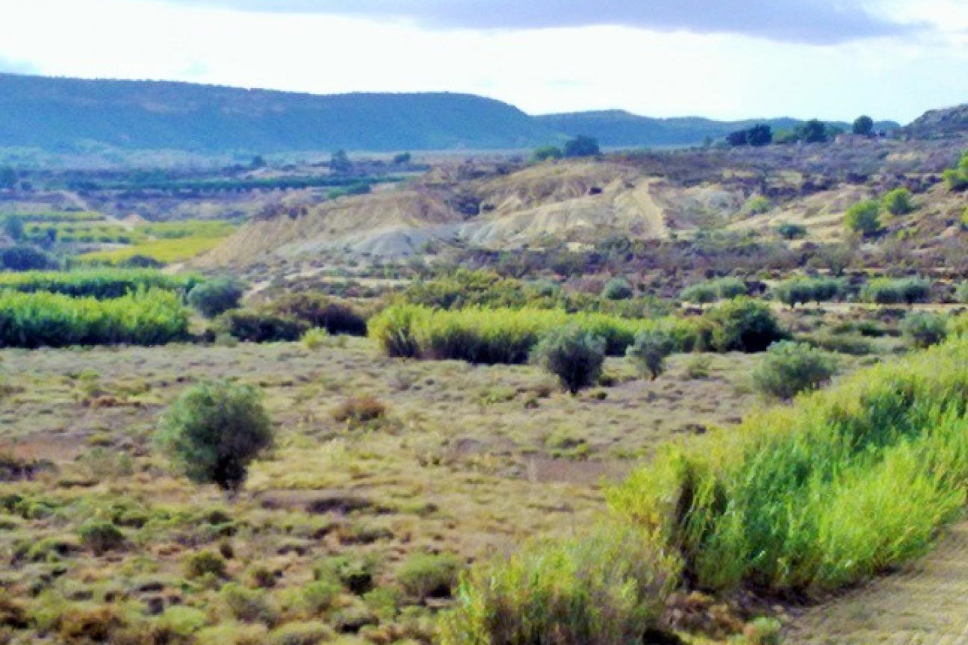 Gensalg - Land -
Torremendo