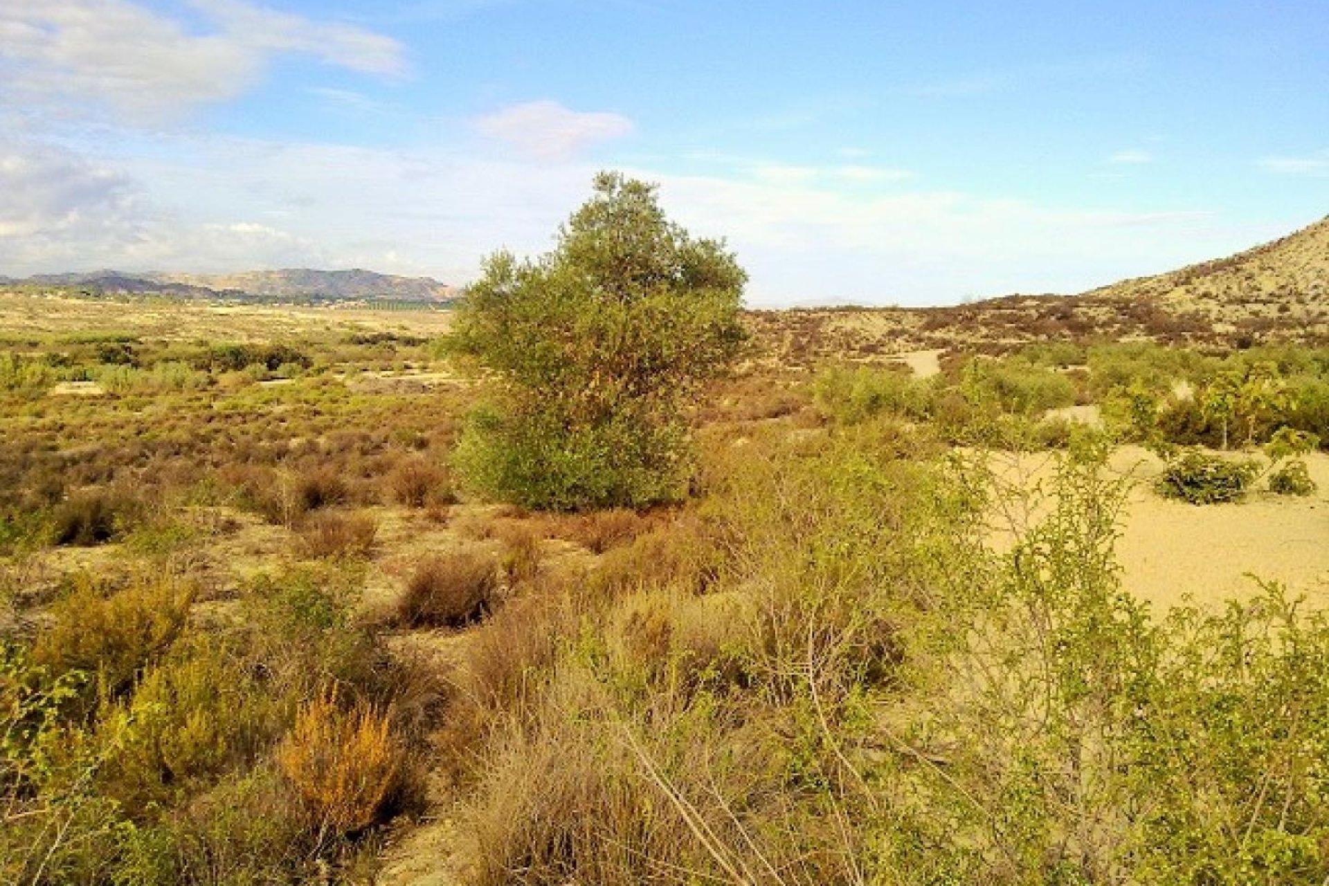 Gensalg - Land -
Torremendo