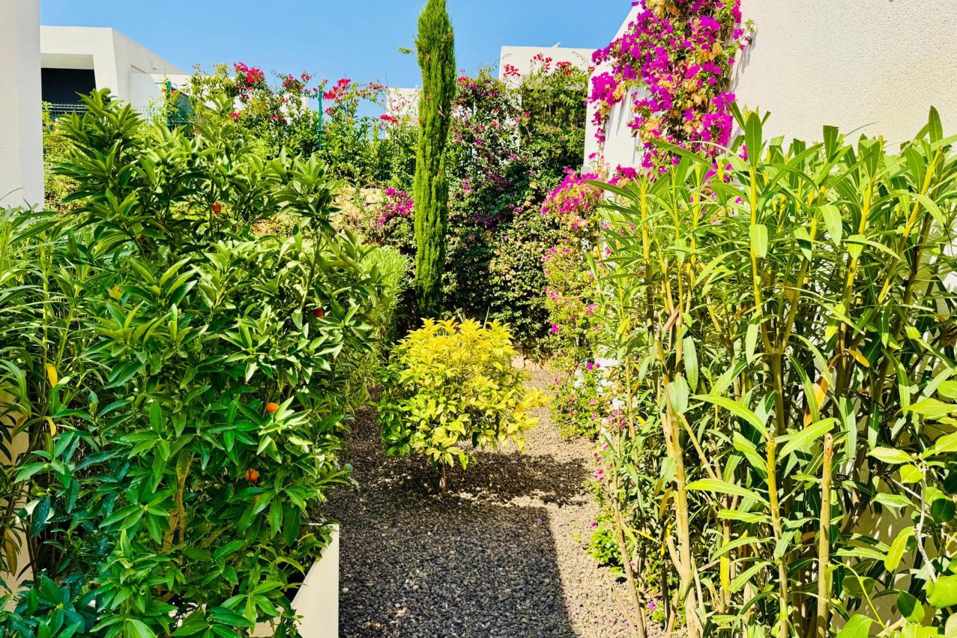 Gensalg - Villa -
Algorfa - La finca Golf