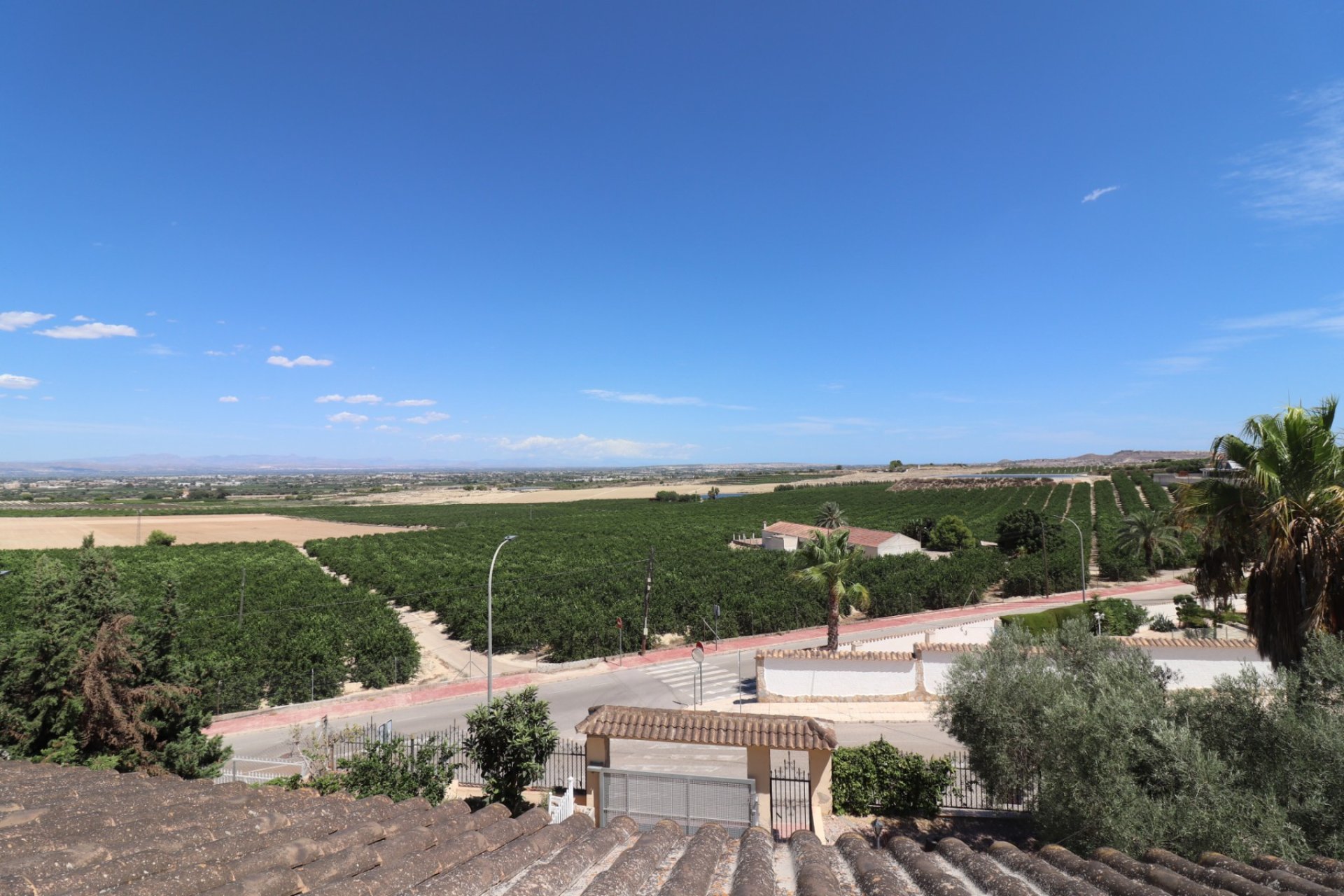 Gensalg - Villa -
Algorfa - Lomas de La Juliana