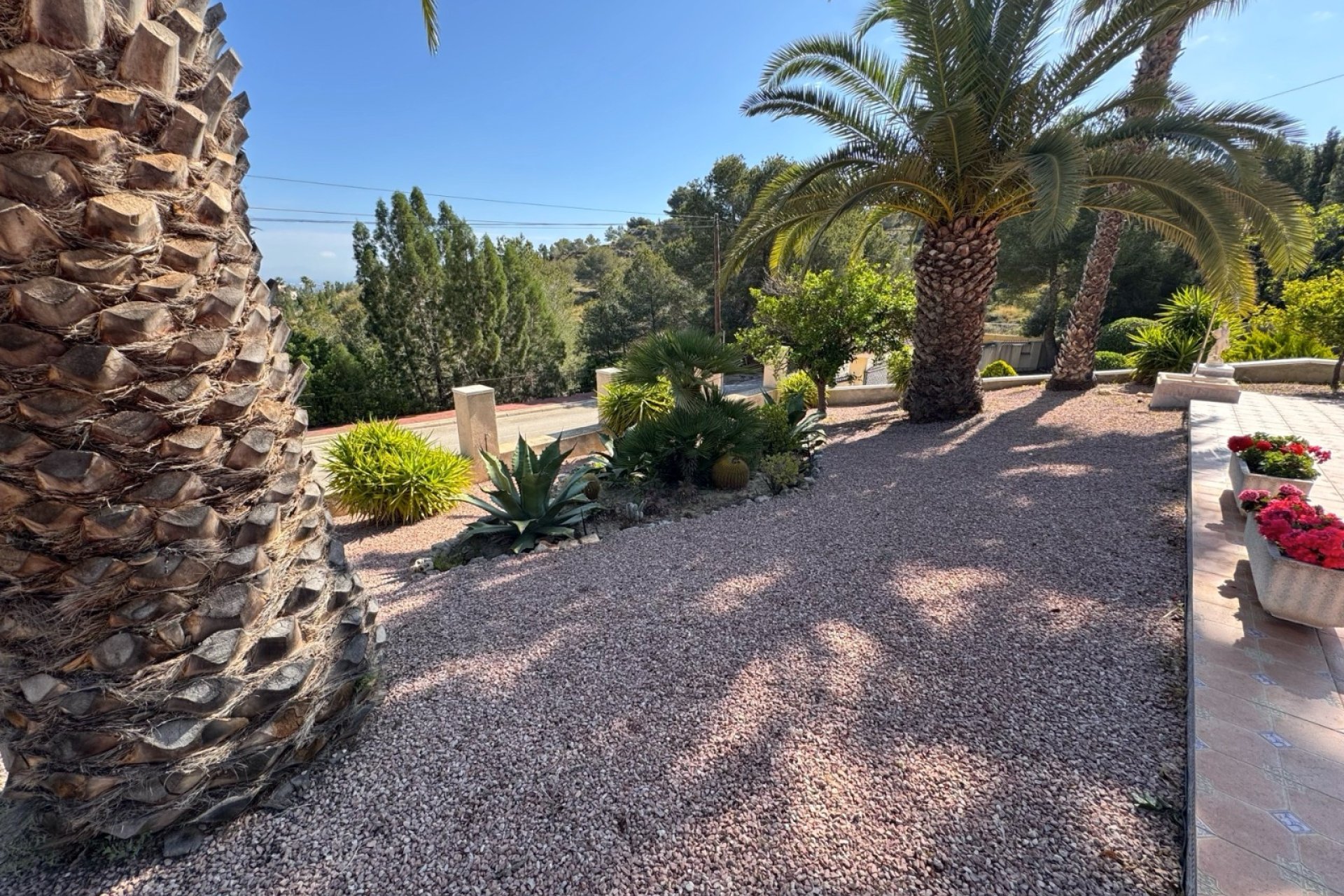 Gensalg - Villa -
Algorfa - Lomas de La Juliana