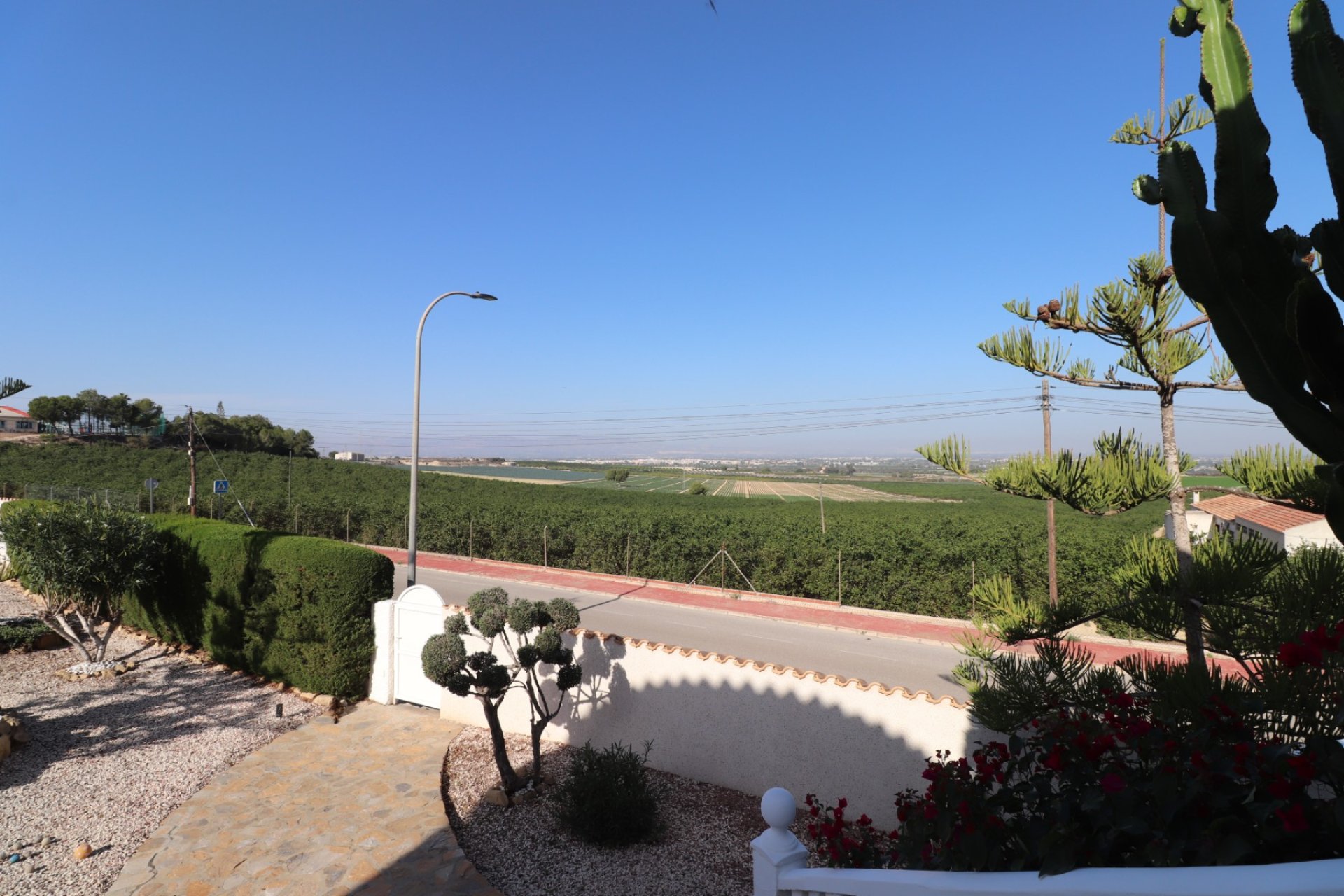 Gensalg - Villa -
Algorfa - Lomas de La Juliana