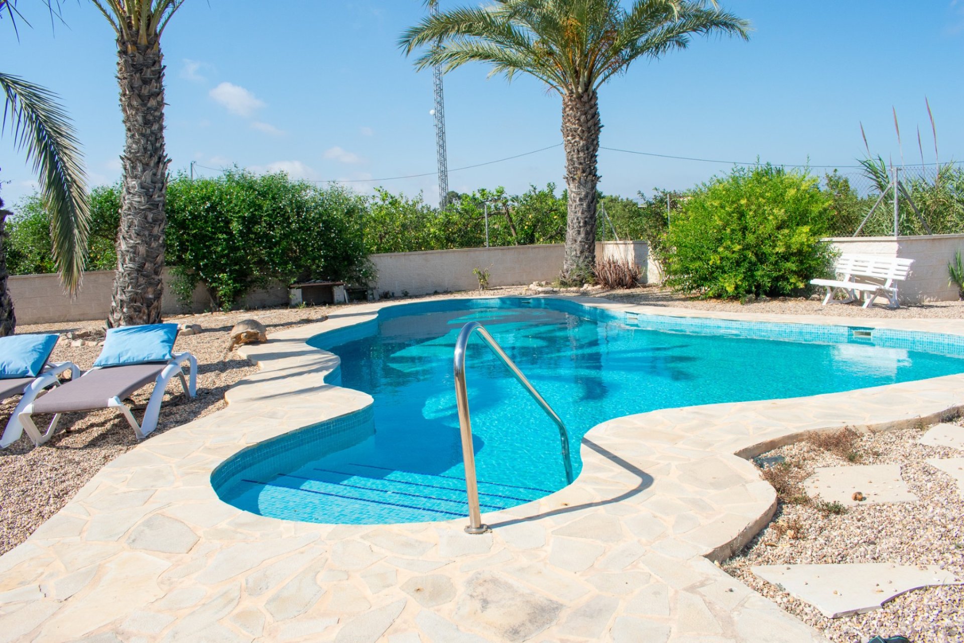 Gensalg - Villa -
Guardamar del Segura - El Raso