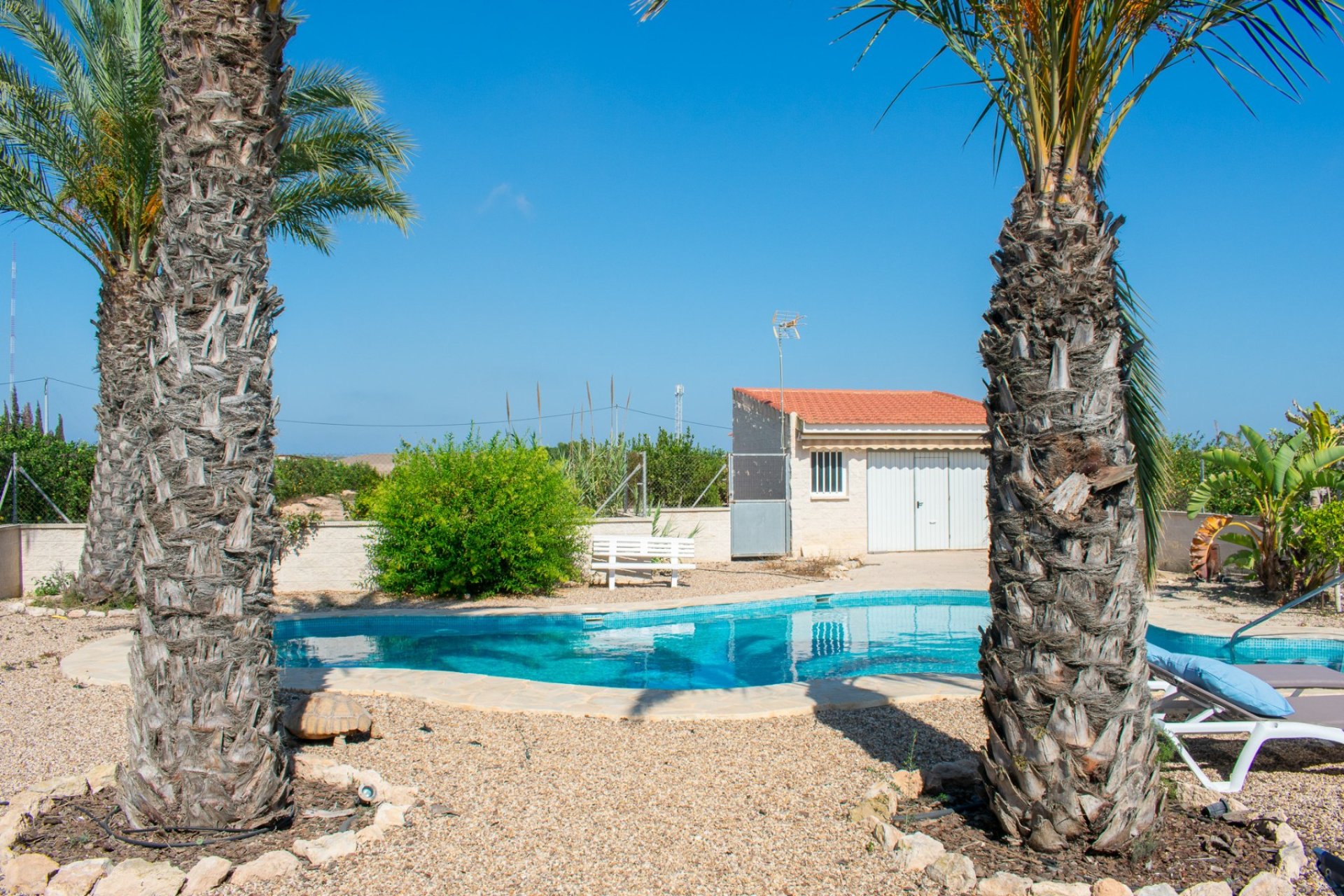 Gensalg - Villa -
Guardamar del Segura - El Raso