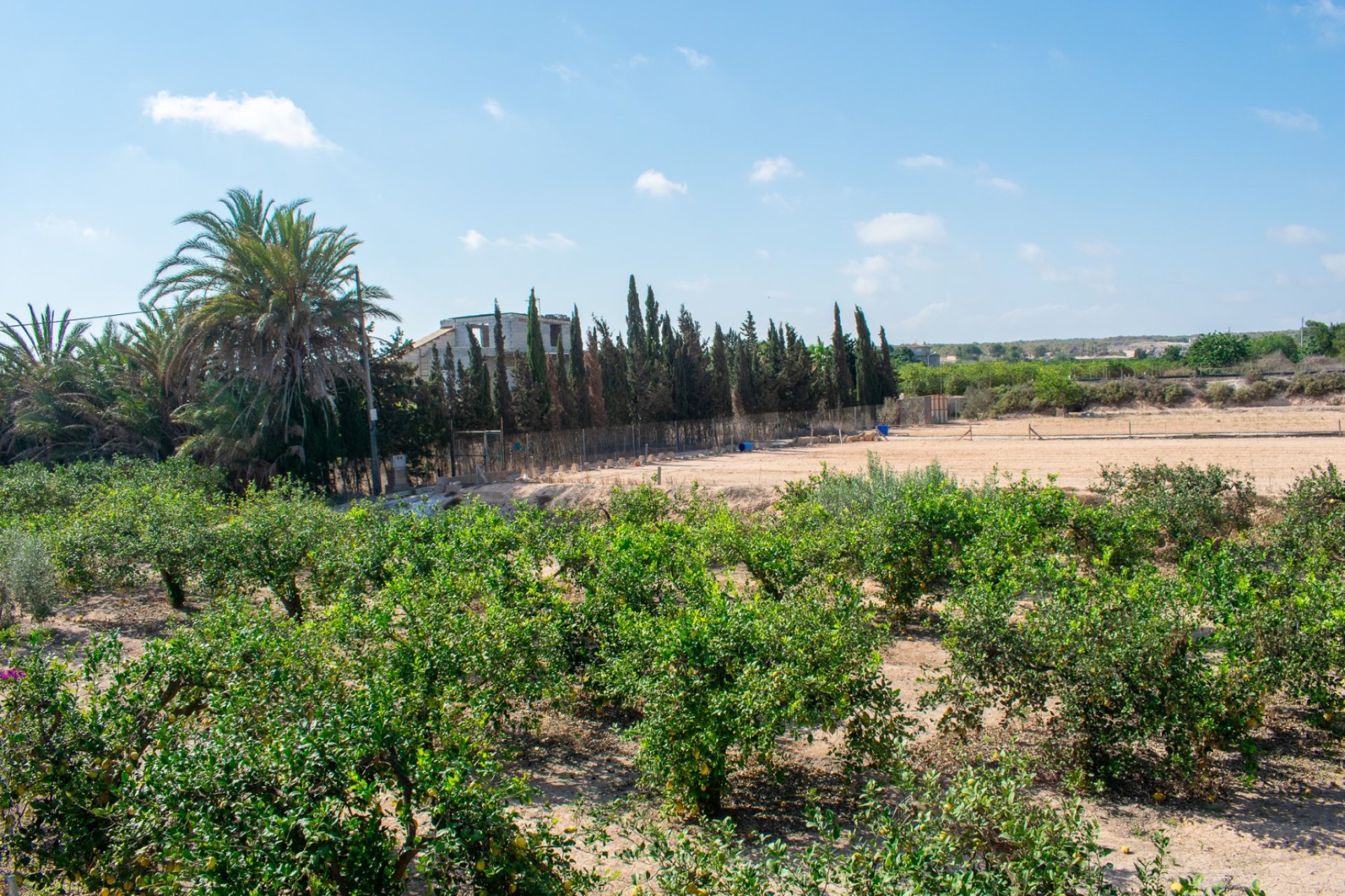 Gensalg - Villa -
Guardamar del Segura - El Raso