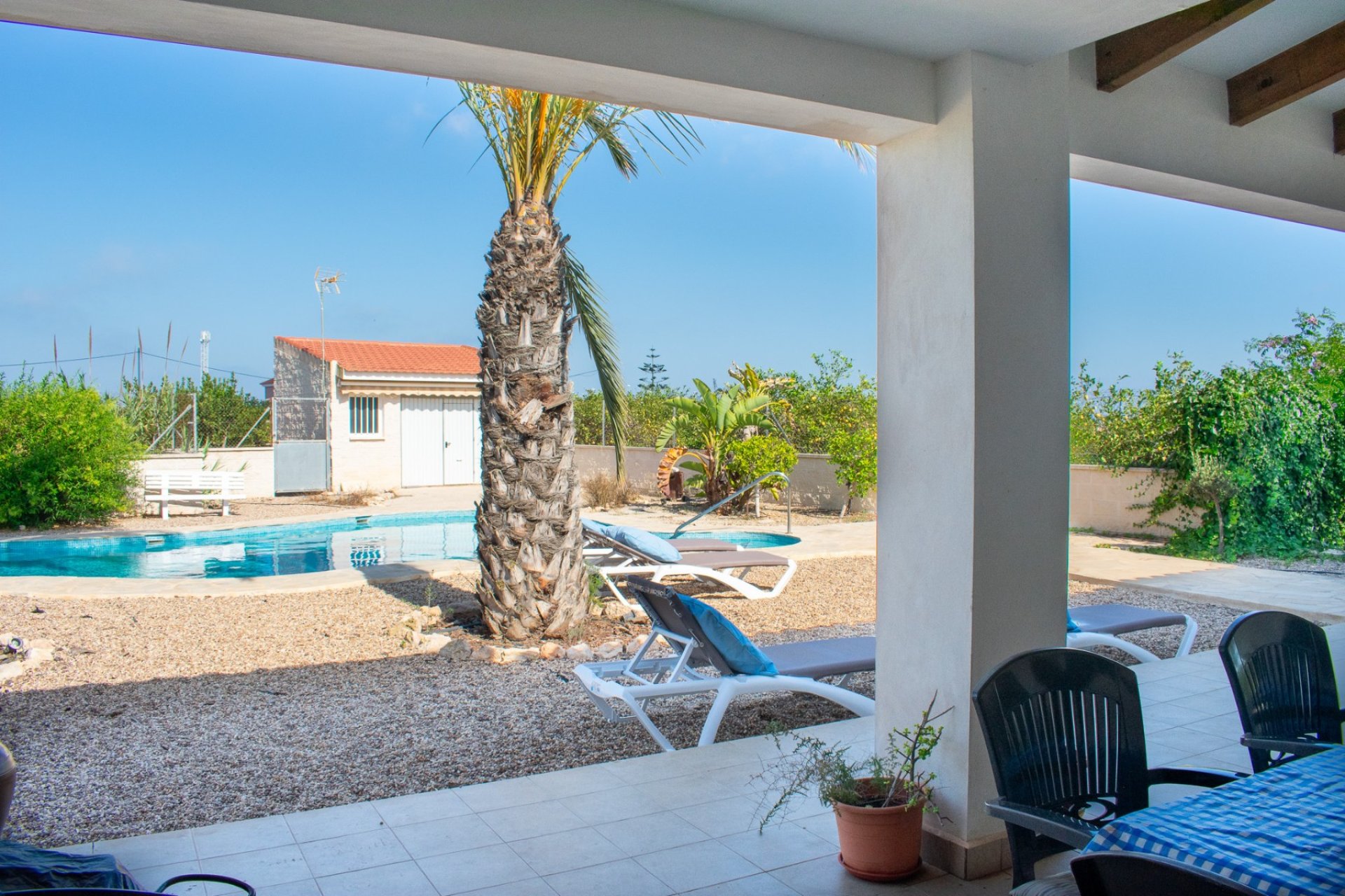Gensalg - Villa -
Guardamar del Segura - El Raso