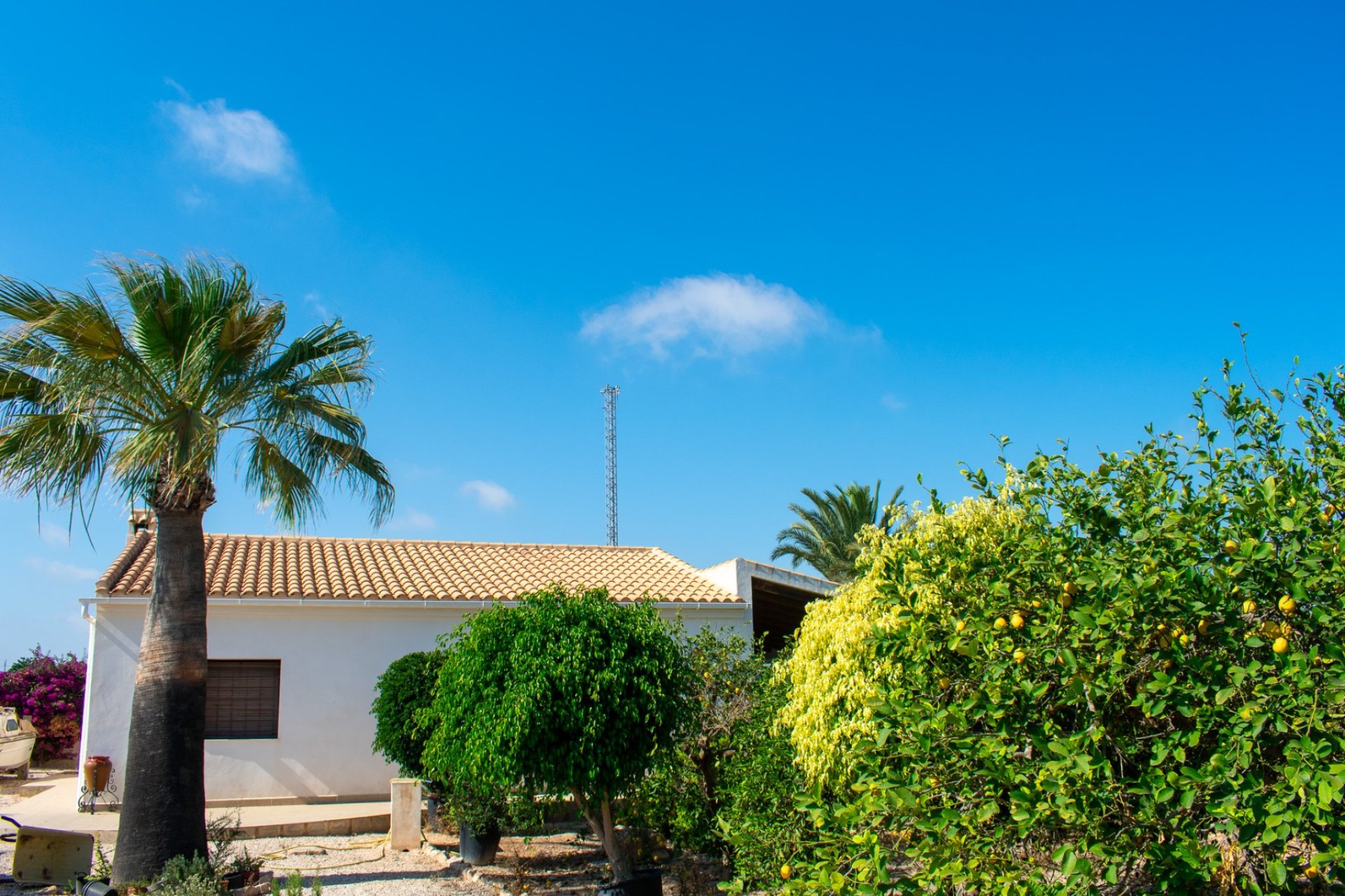 Gensalg - Villa -
Guardamar del Segura - El Raso