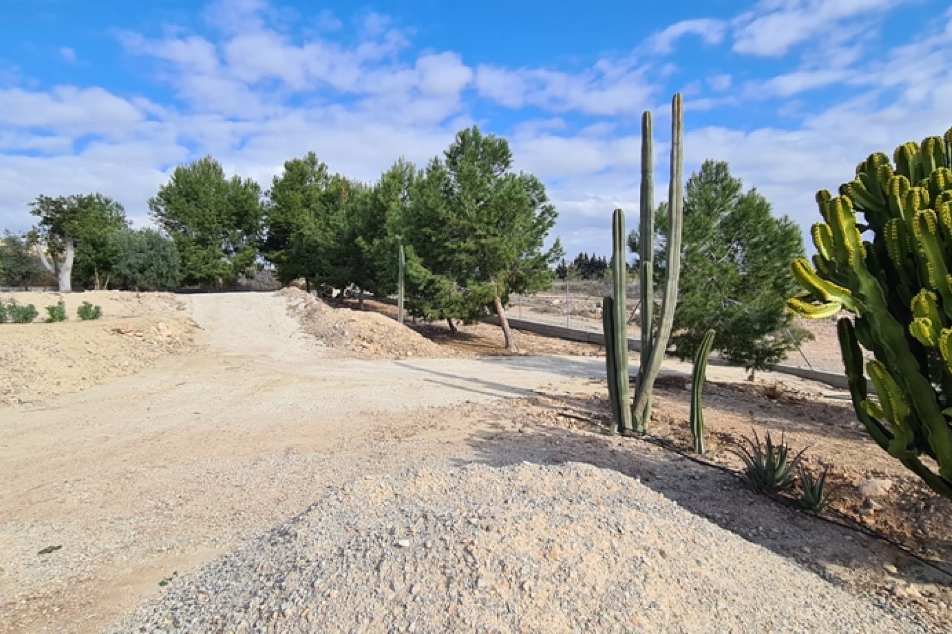 Gensalg - Villa -
Orihuela - La Matanza