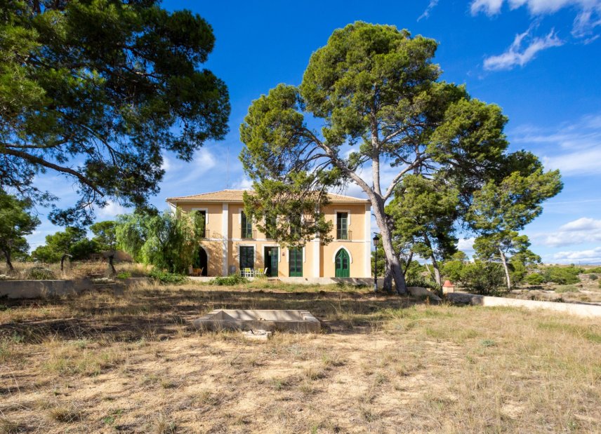 Gensalg - Villa -
San Juan - San Juan de Alicante
