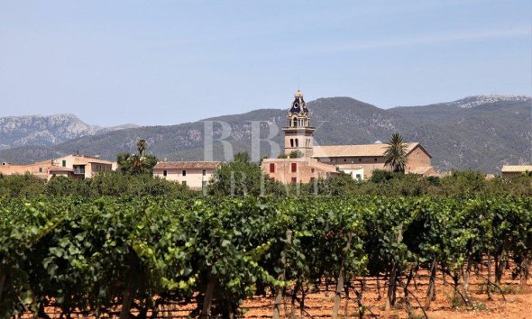 Investment building - Reventa - Santa Maria - Santa Maria del Camí