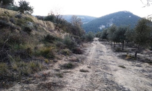 Land - Gensalg - Benifallim - Benifallim
