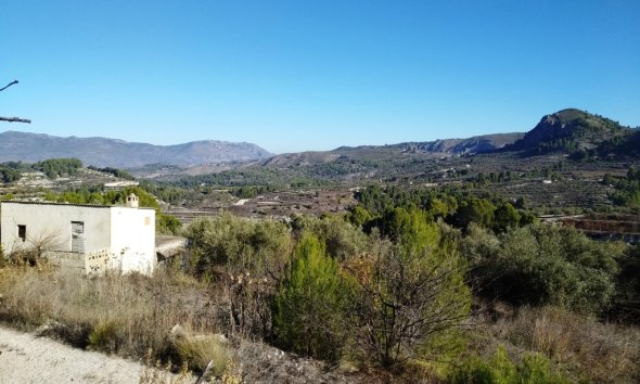 Land - Gensalg - Benimarfull - Benimarfull
