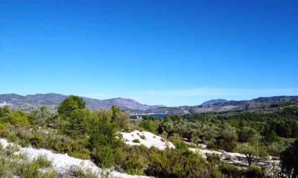 Land - Gensalg - Benimarfull - Benimarfull