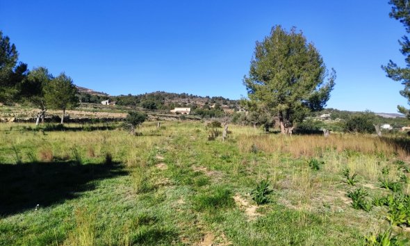 Land - Gensalg - Benissa - Benissa