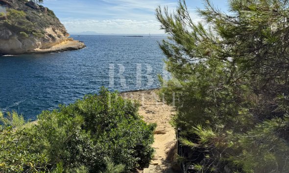 Land - Gensalg - Calvià - Sol de Mallorca