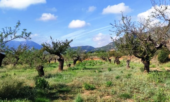 Land - Gensalg - Gaianes - Gaianes