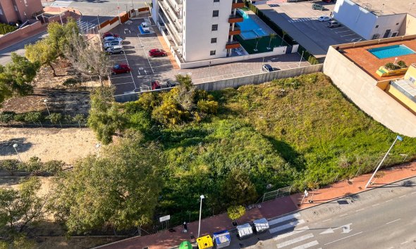 Land - Gensalg - Guardamar del Segura -
                Guardamar del Segura