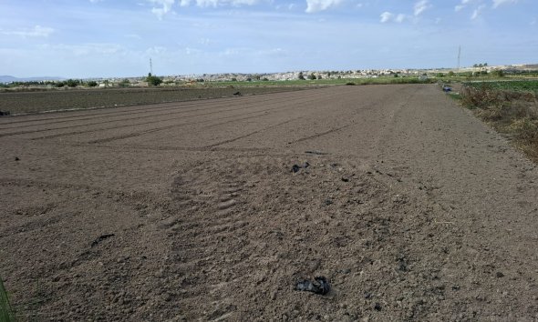 Land - Gensalg - Guardamar del Segura - Guardamar del Segura