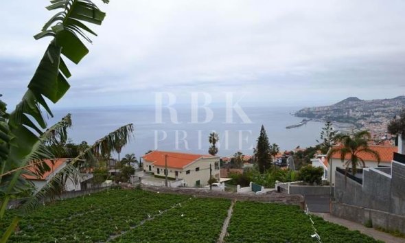 Land - Gensalg - Madeira - Madeira