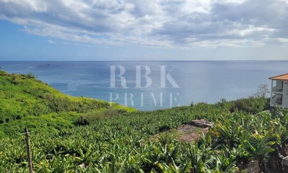 Land - Gensalg - Madeira - Madeira