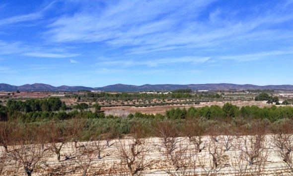 Land - Resale - Bufali - Bufali