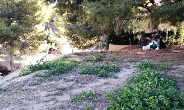 Land - Resale - Cocentaina - Cocentaina
