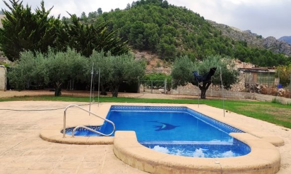 Land - Resale - Lorca - Lorca