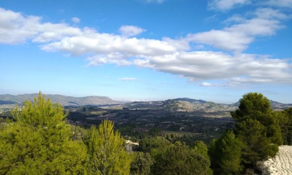 Land - Reventa - Benillup - Benillup